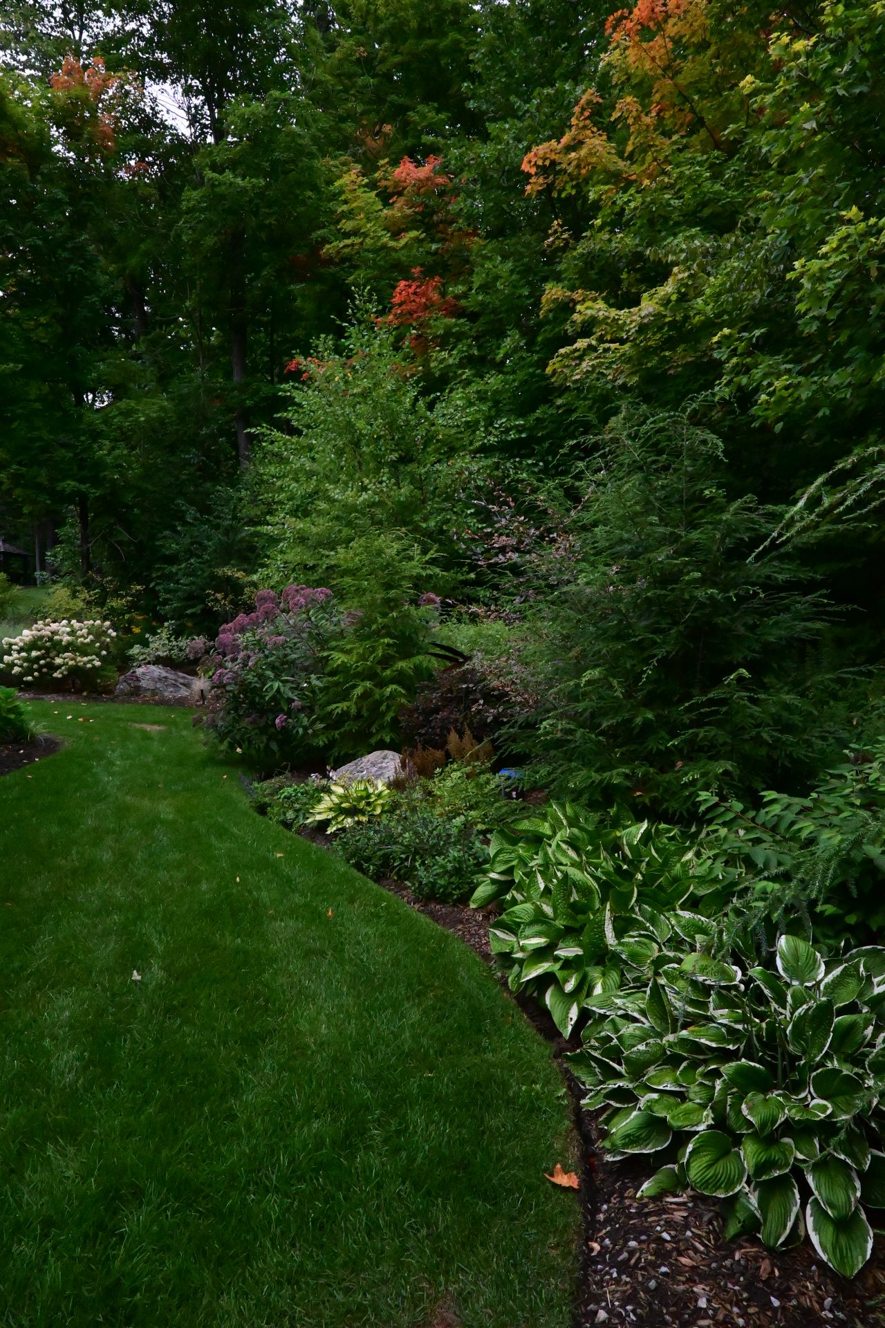 Lush garden with trees and colorful plants.