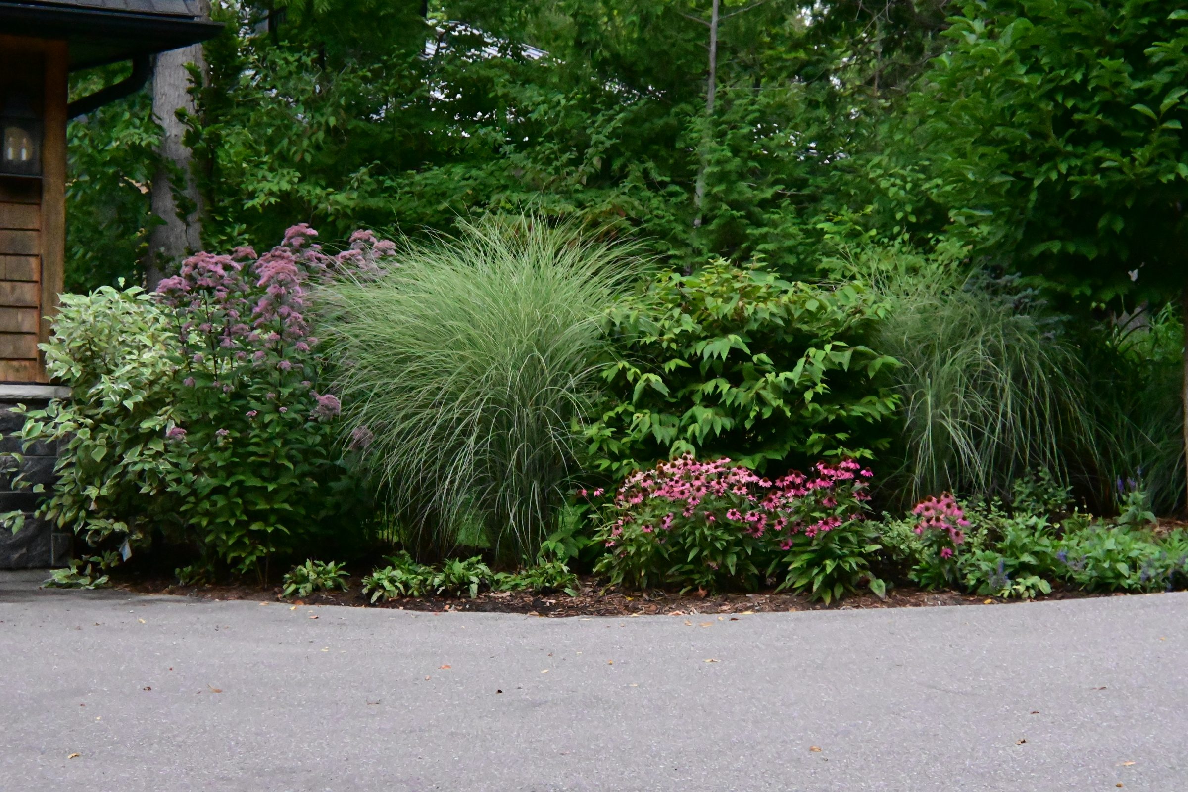Lush garden with various flowers and shrubs