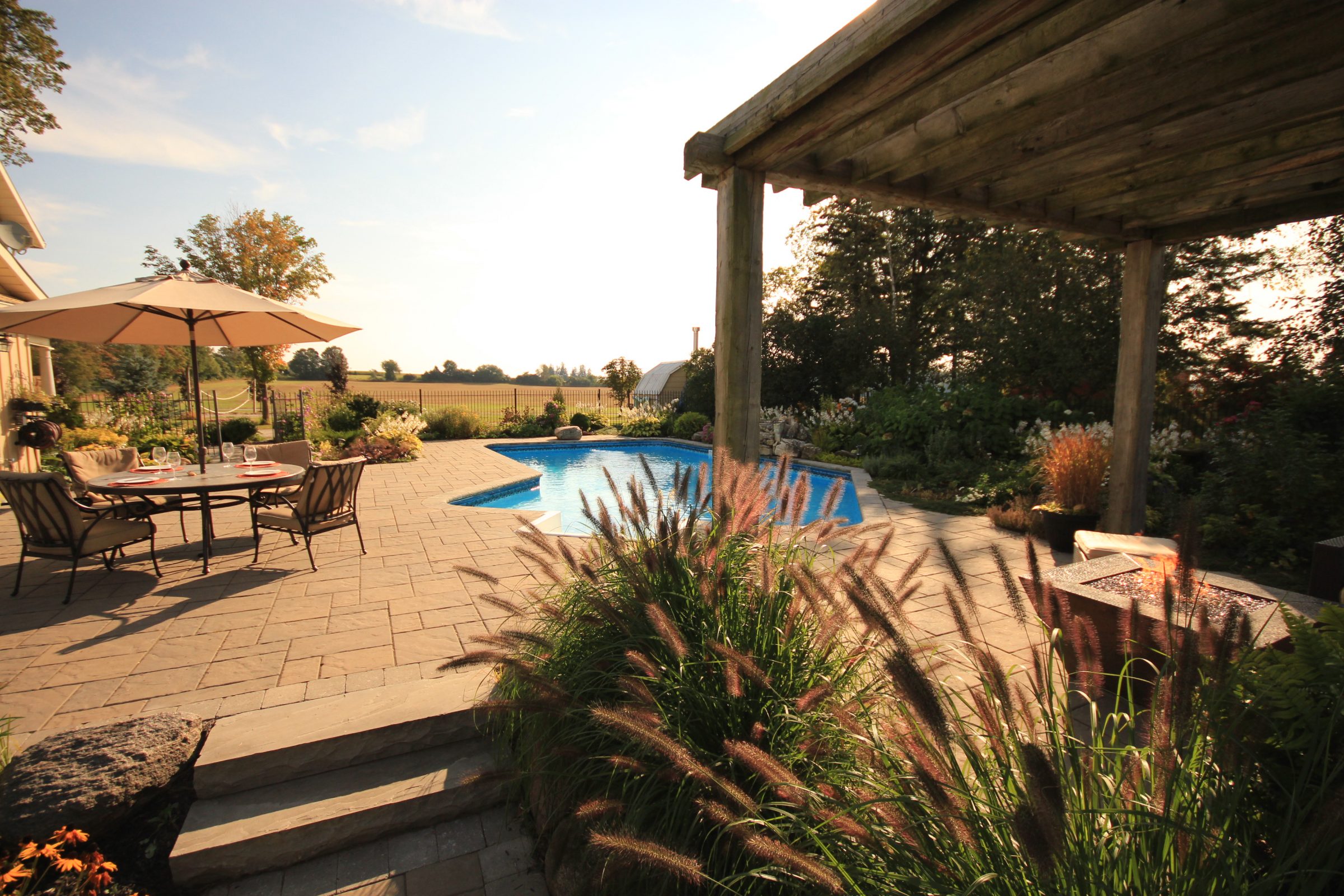 Sunny patio with pool and plants