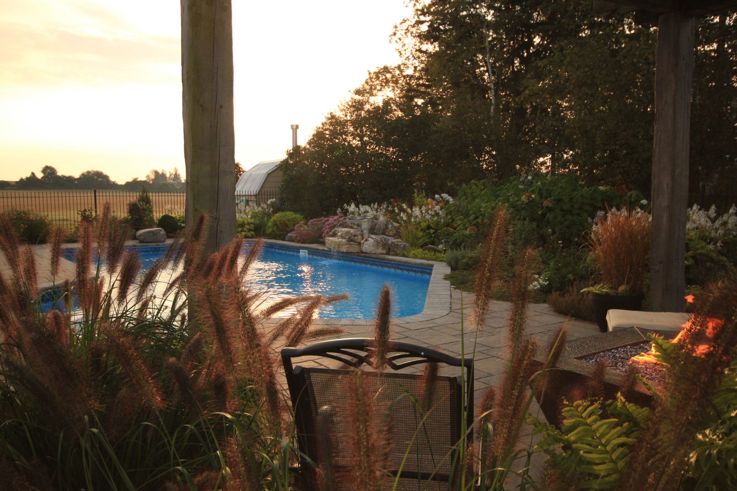 Backyard pool with lush garden at sunset