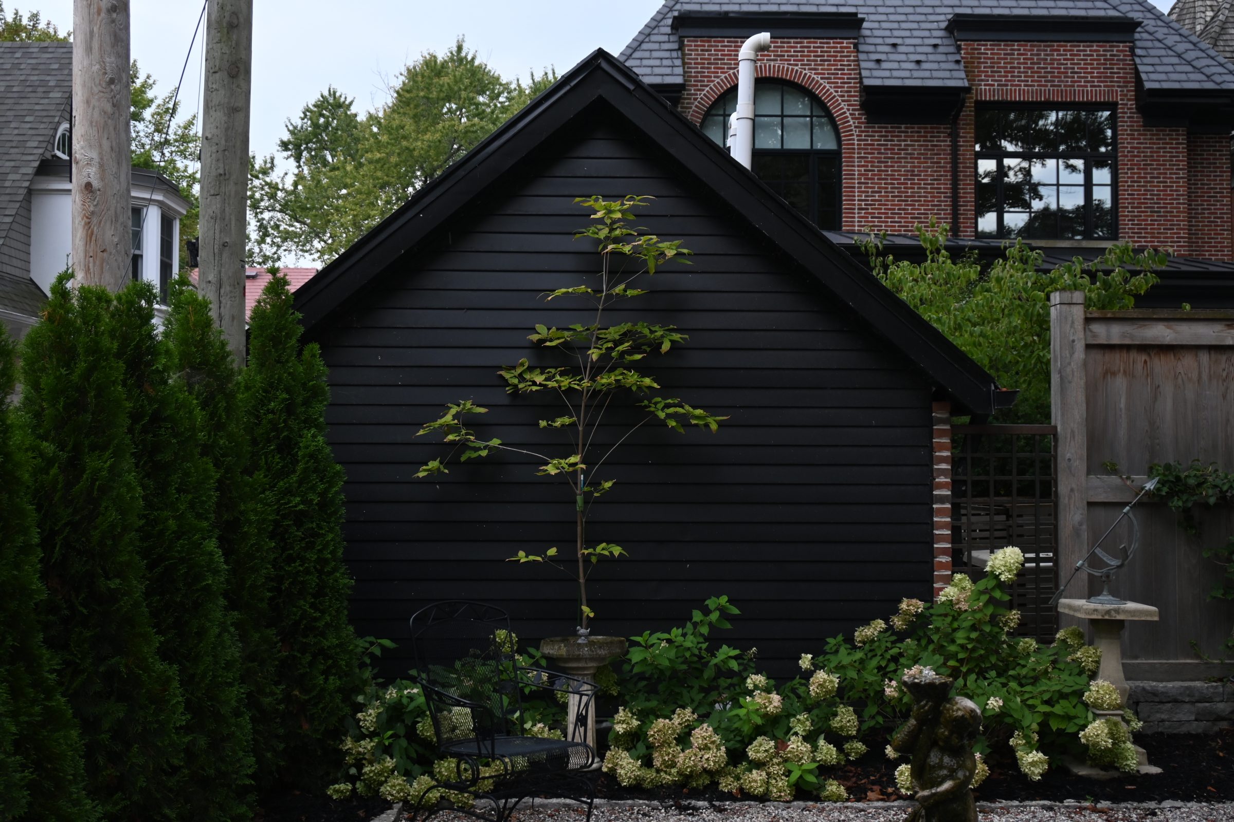 Backyard with black shed, plants, and seating area.