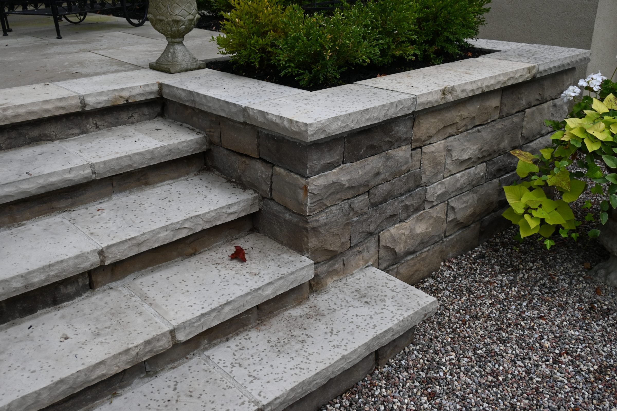 Stone steps and planter with green shrubs