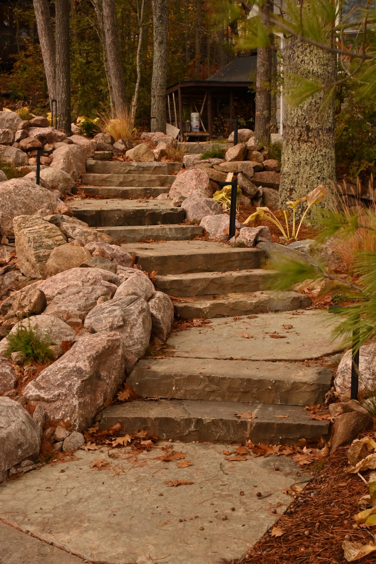 Stone steps in a wooded area