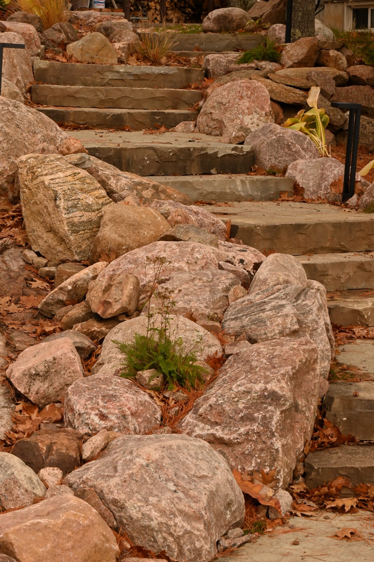 Stone steps with scattered rocks and leaves