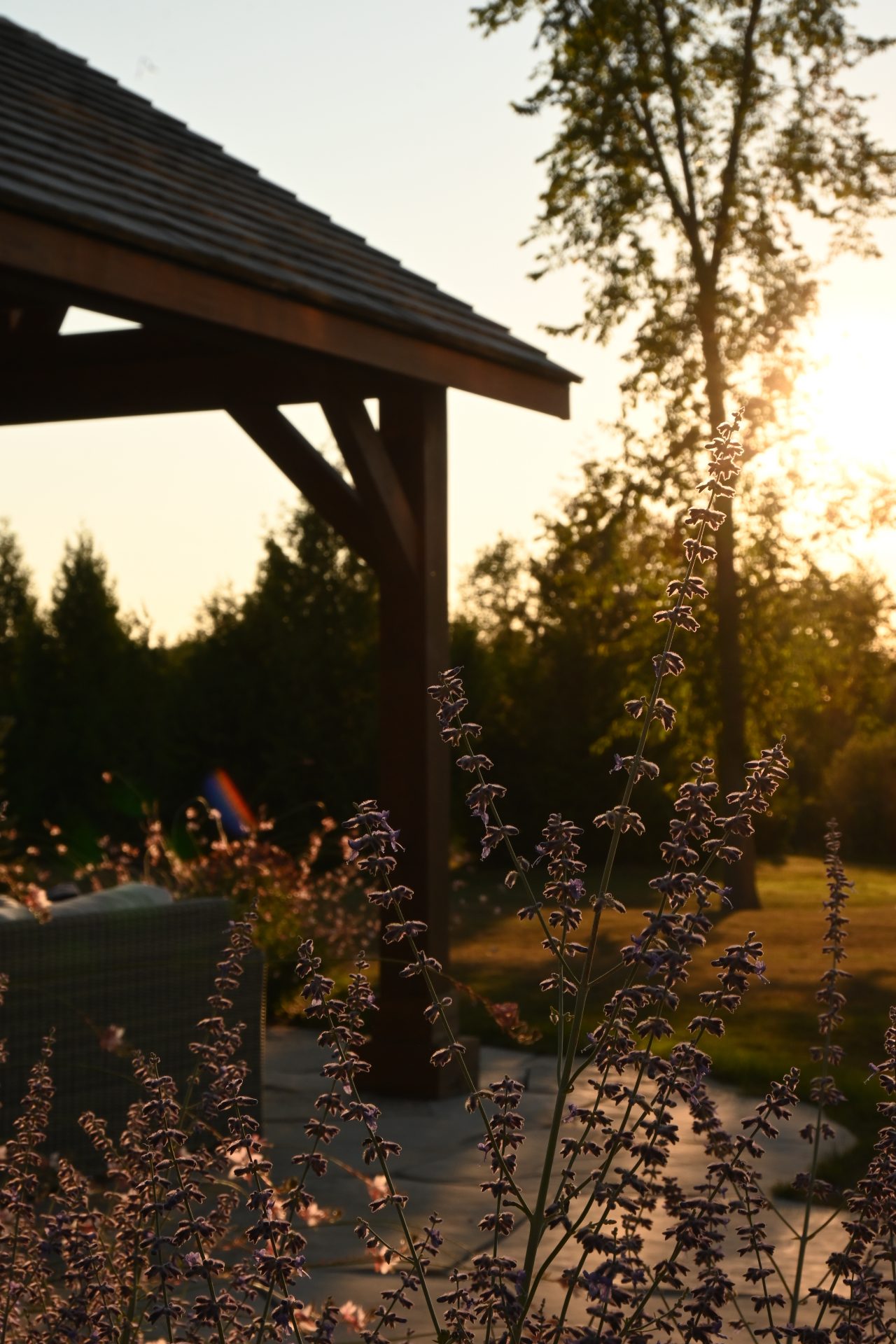 Sunset over garden with wooden structure and flowers.