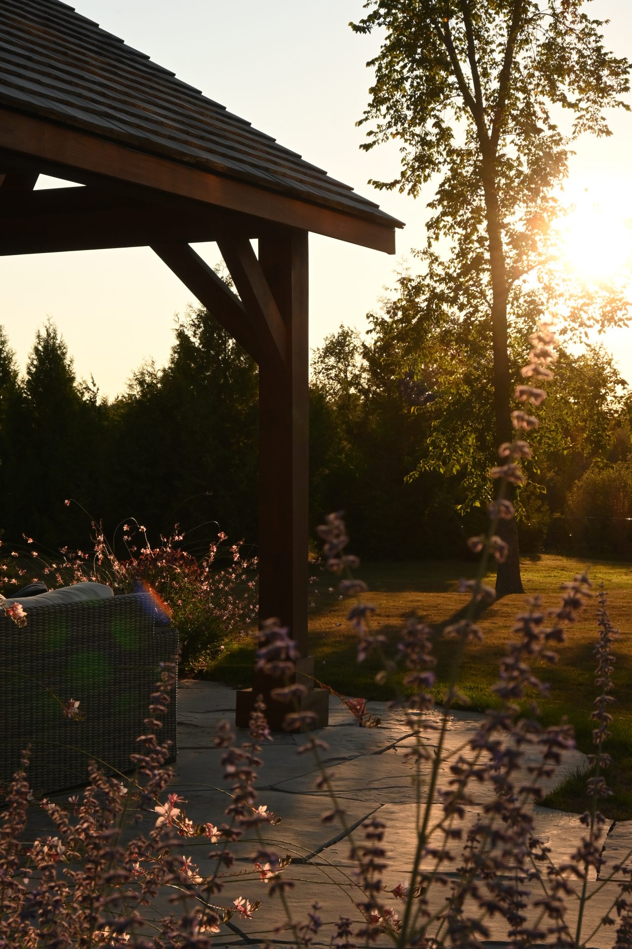Sunset in garden with flowers and pergola
