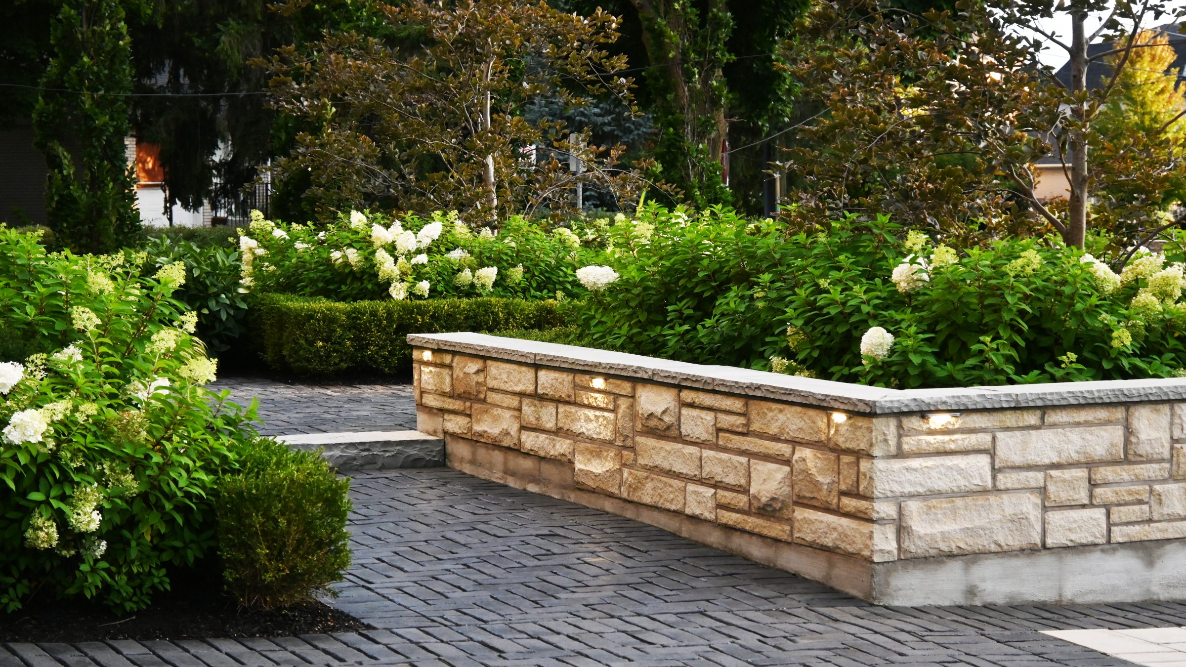 Beautiful garden with stone wall and green shrubs.
