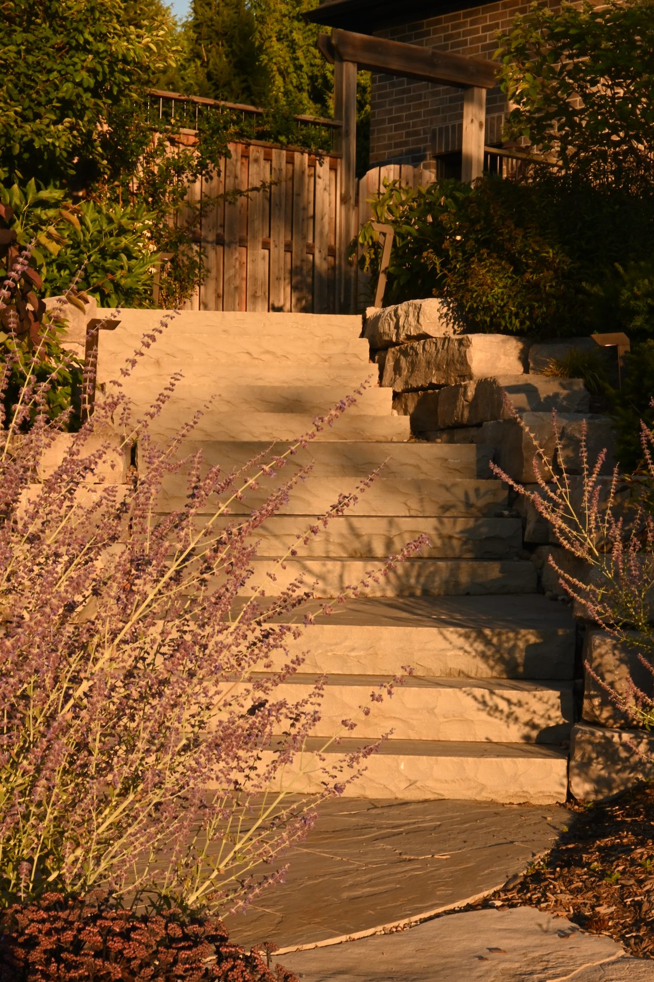 Stone garden steps with purple flowers