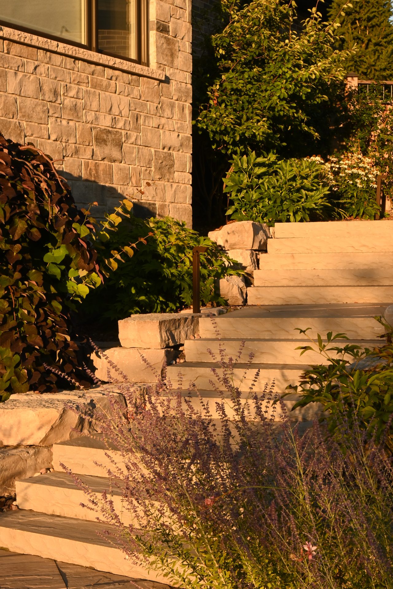 Stone steps leading to a garden path