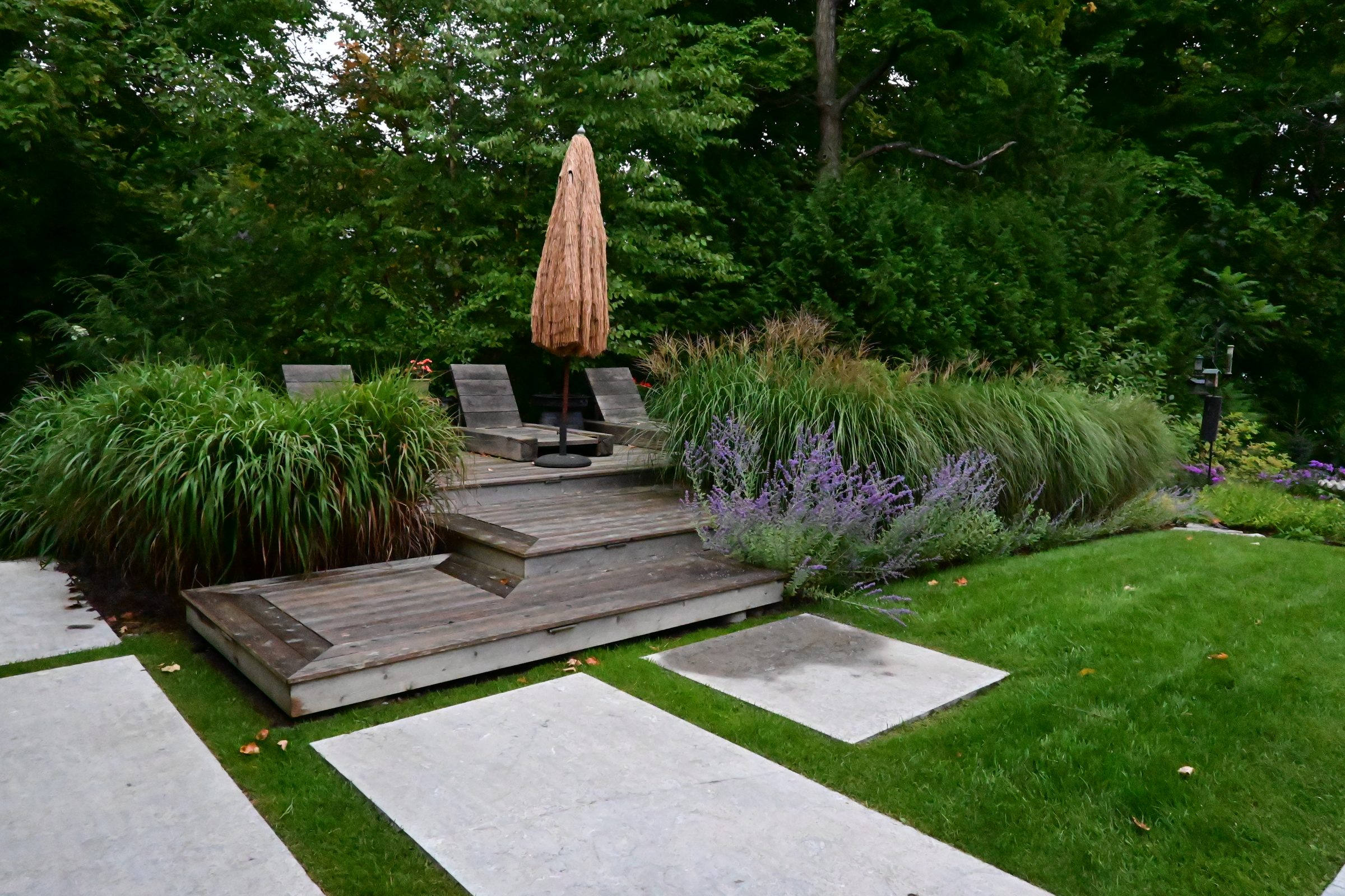Tranquil garden with wooden deck and lush greenery.