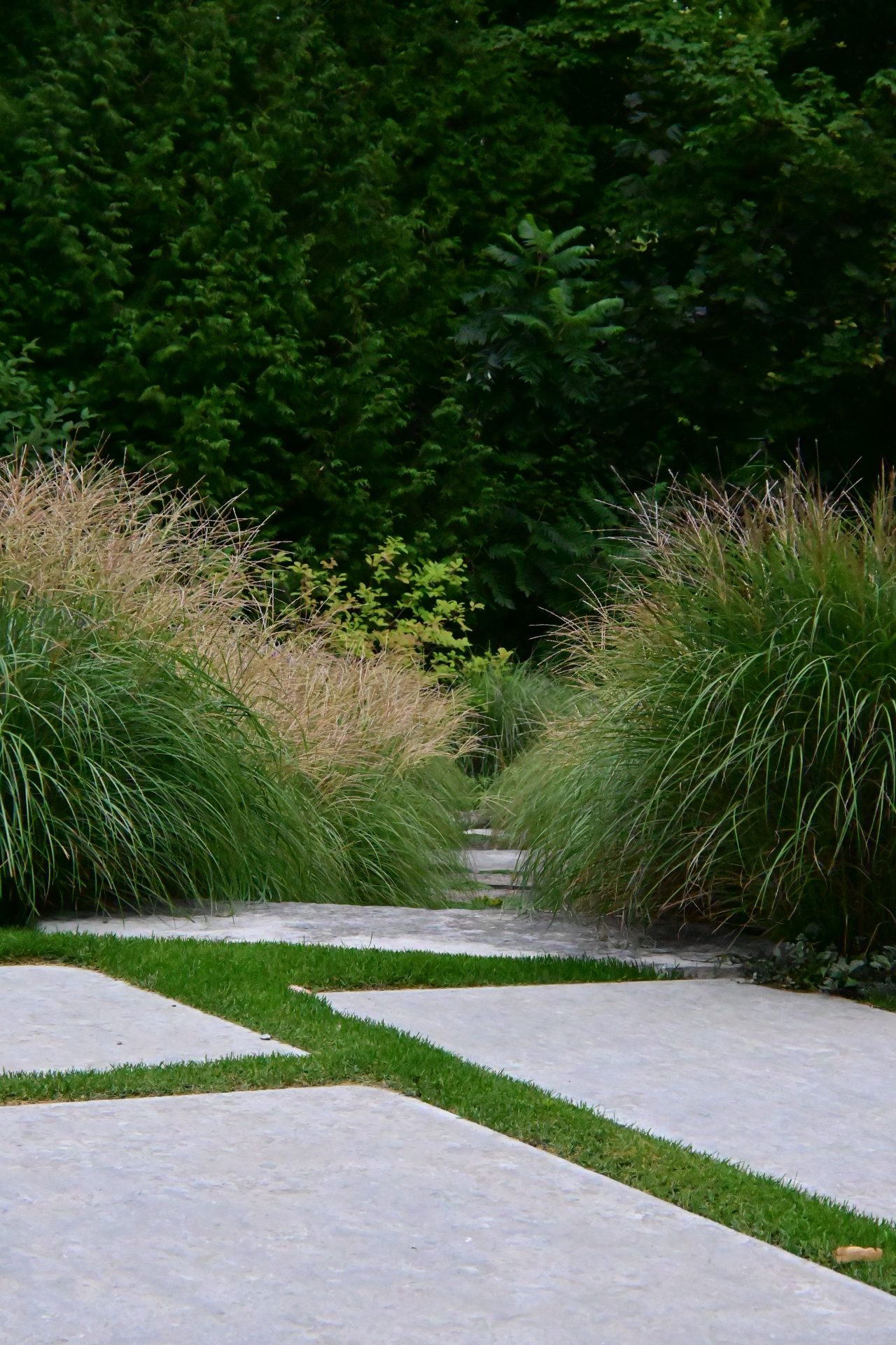 Stone garden pathway surrounded by lush greenery.