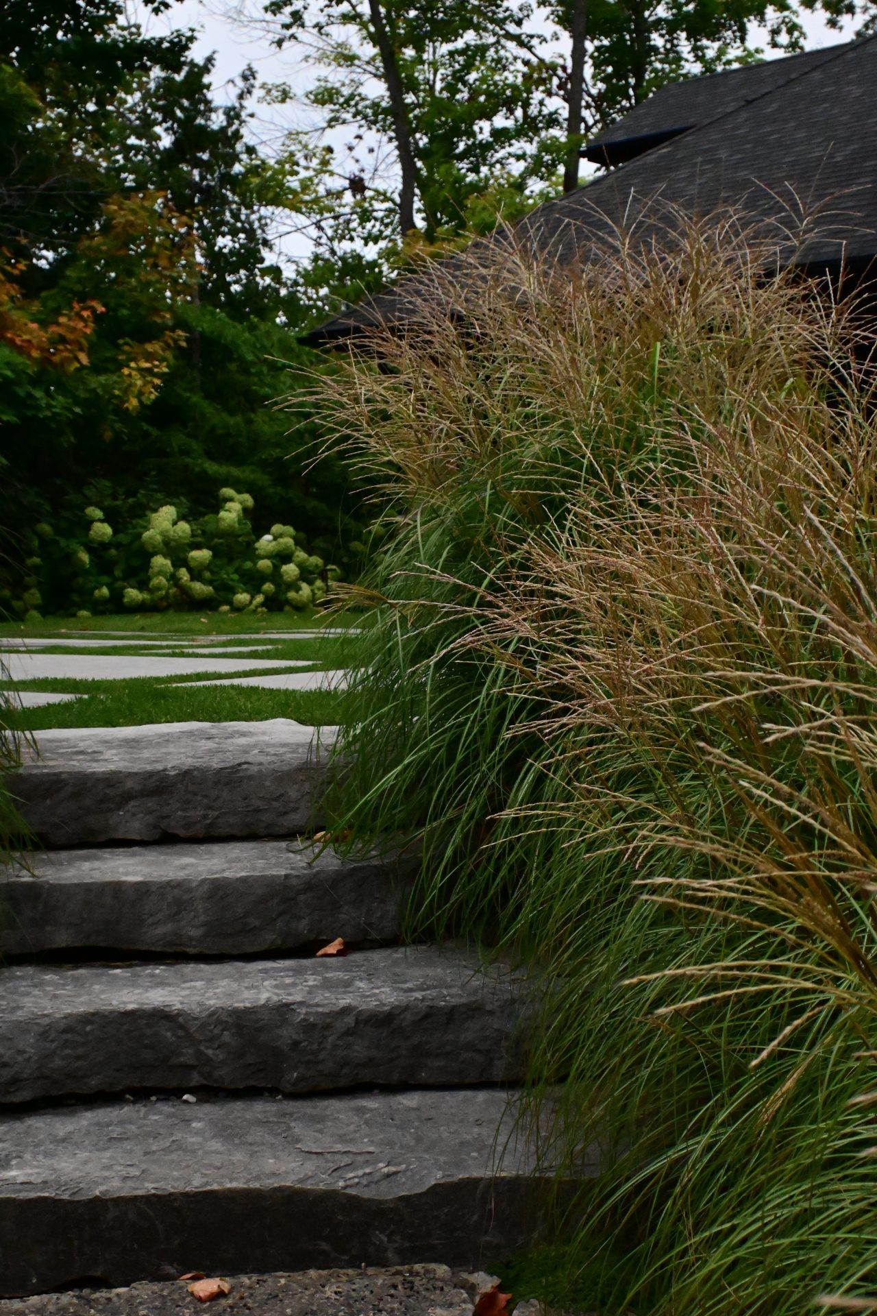 Stone garden steps with tall grass