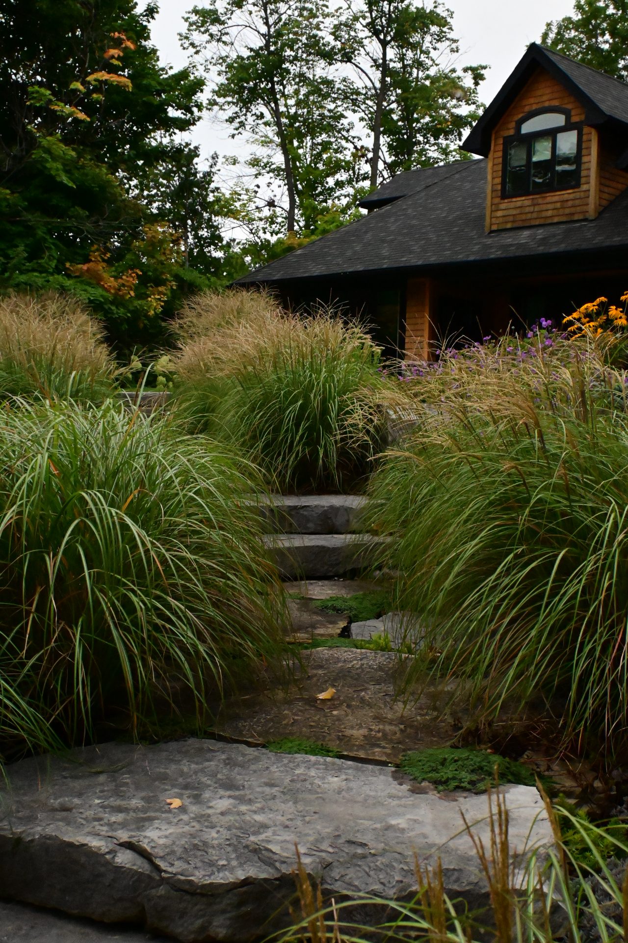 House with stone path and tall grass landscaping