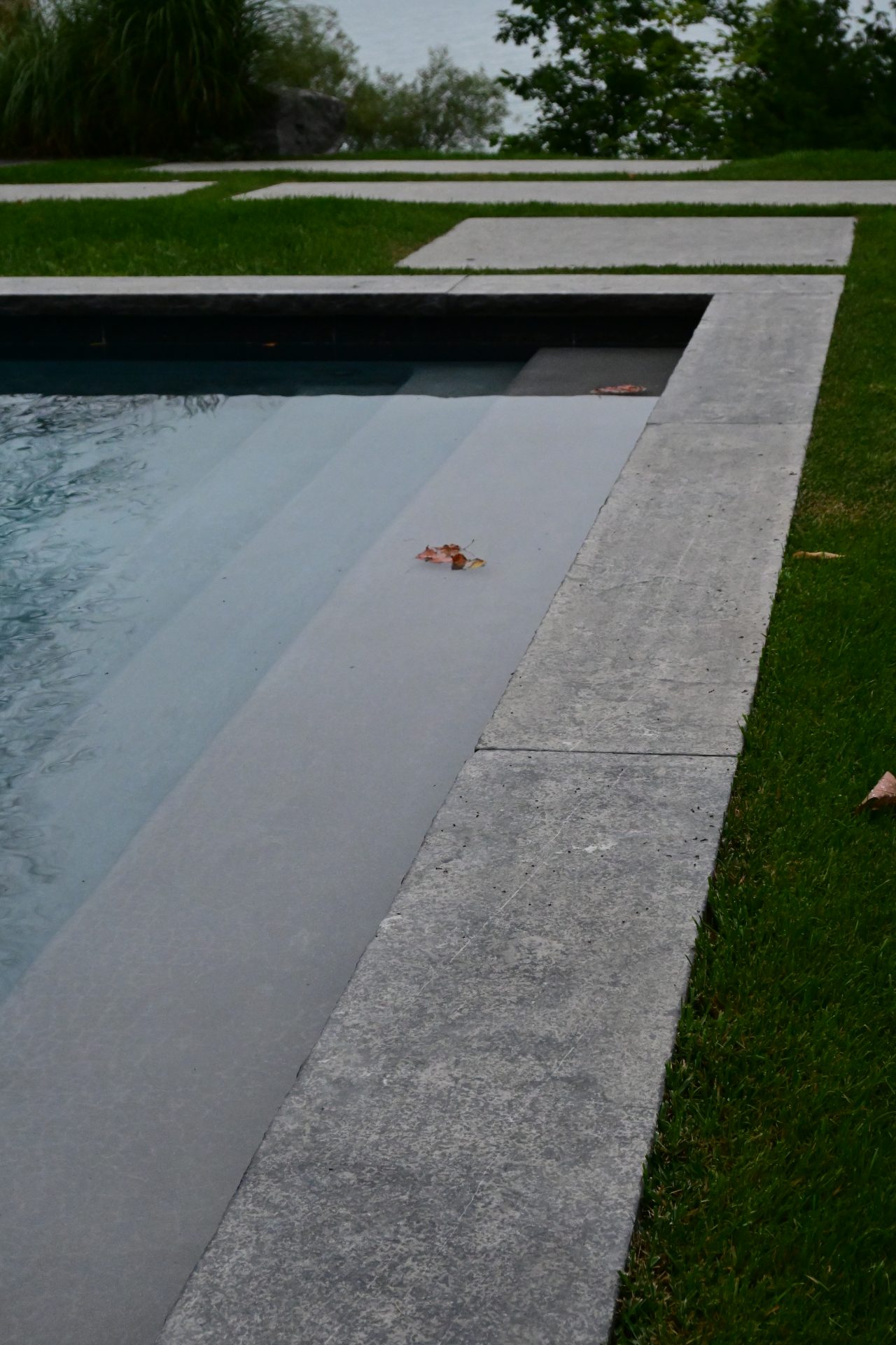 Pool steps with autumn leaves on edge