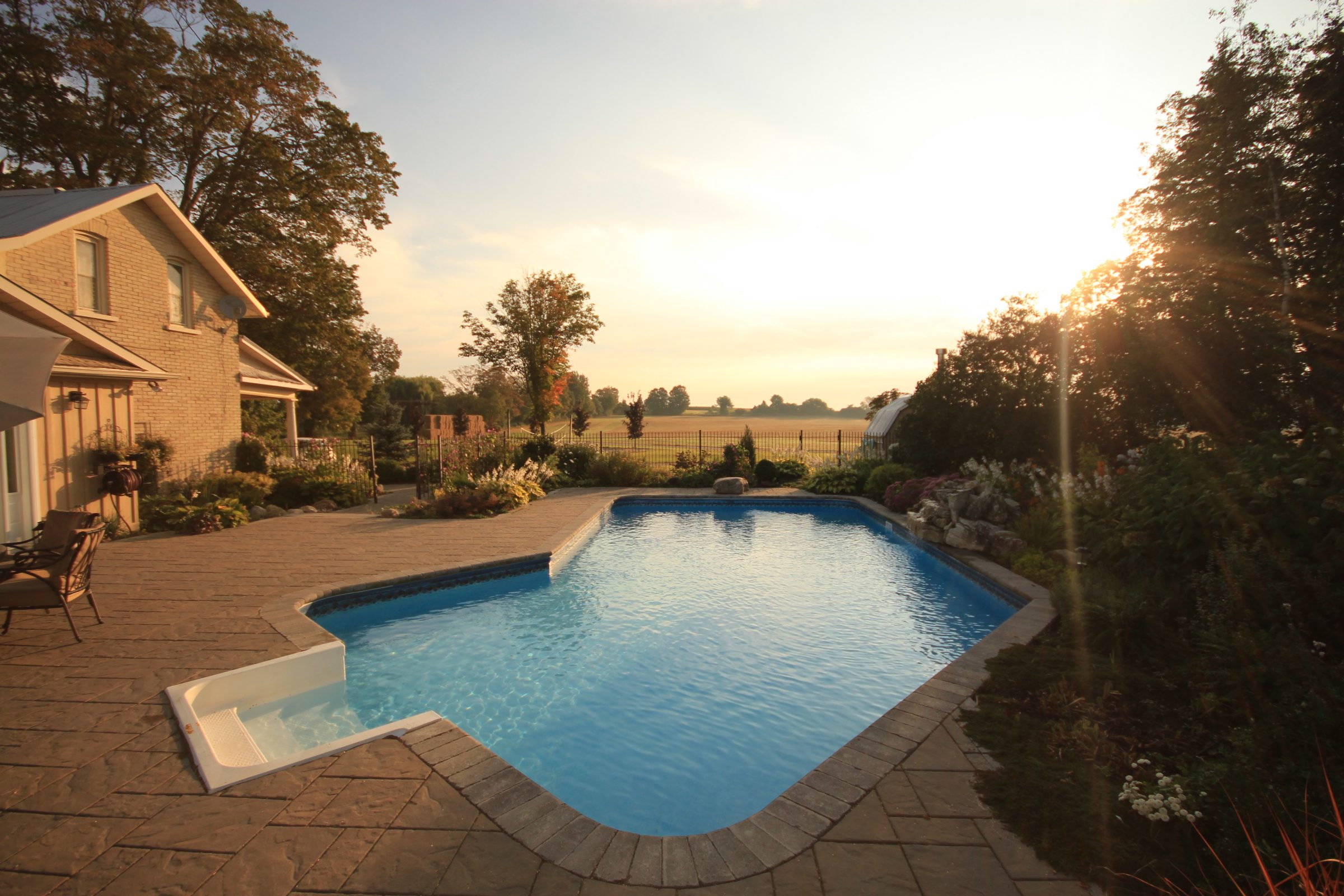 Backyard pool at sunset with garden view.