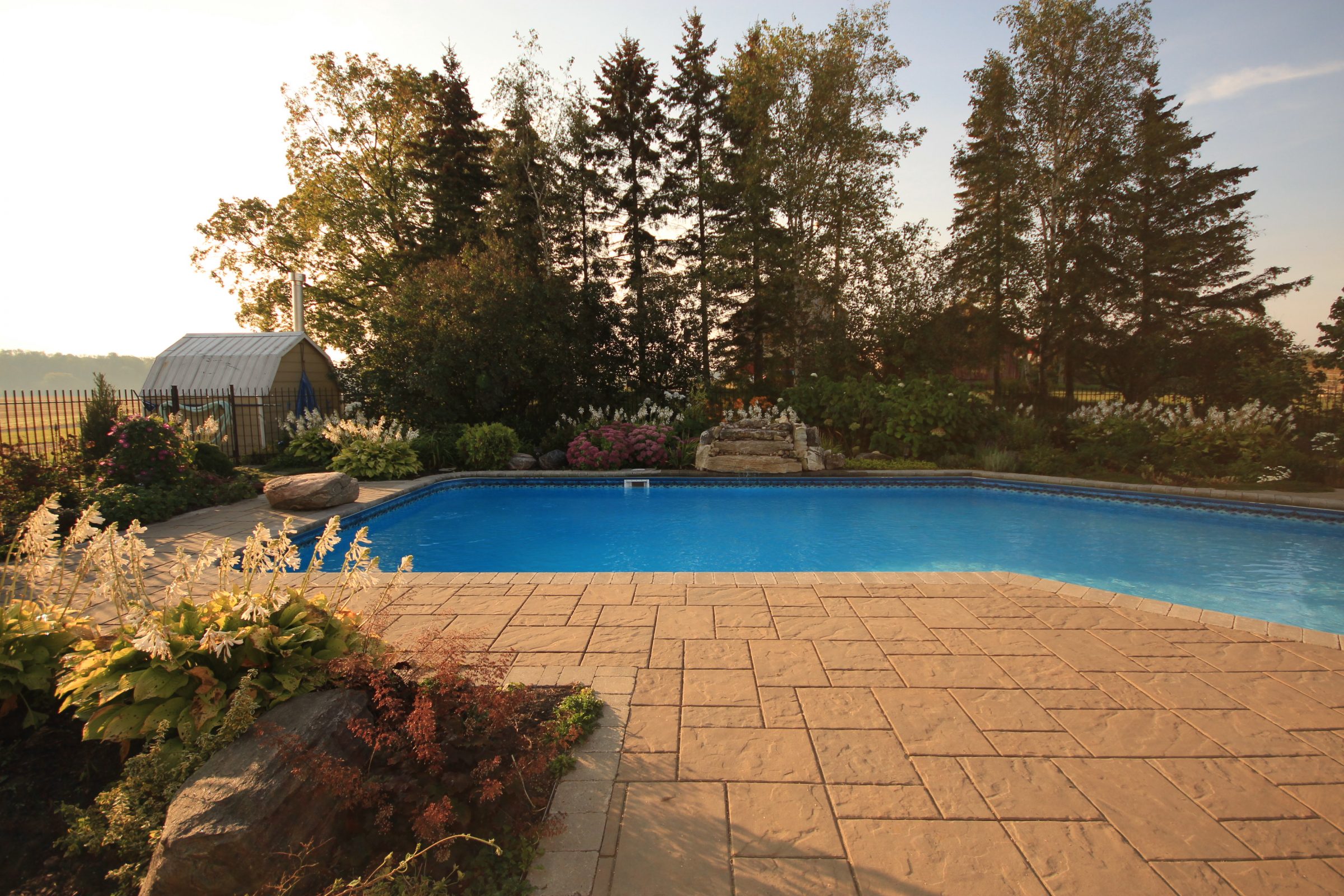 Backyard pool with patio and garden