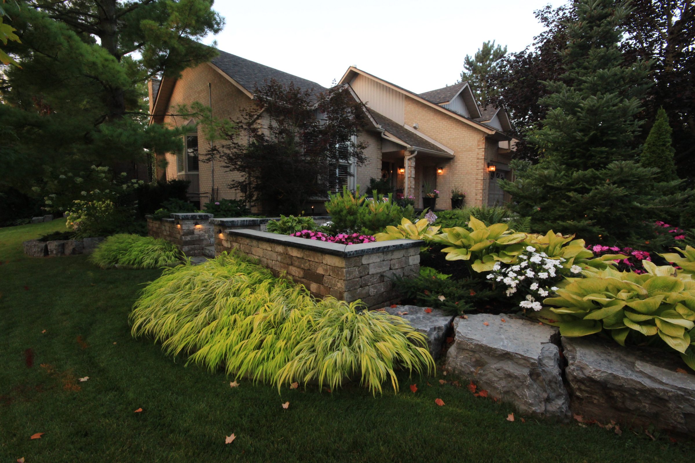 Beautifully landscaped garden in front of suburban home.