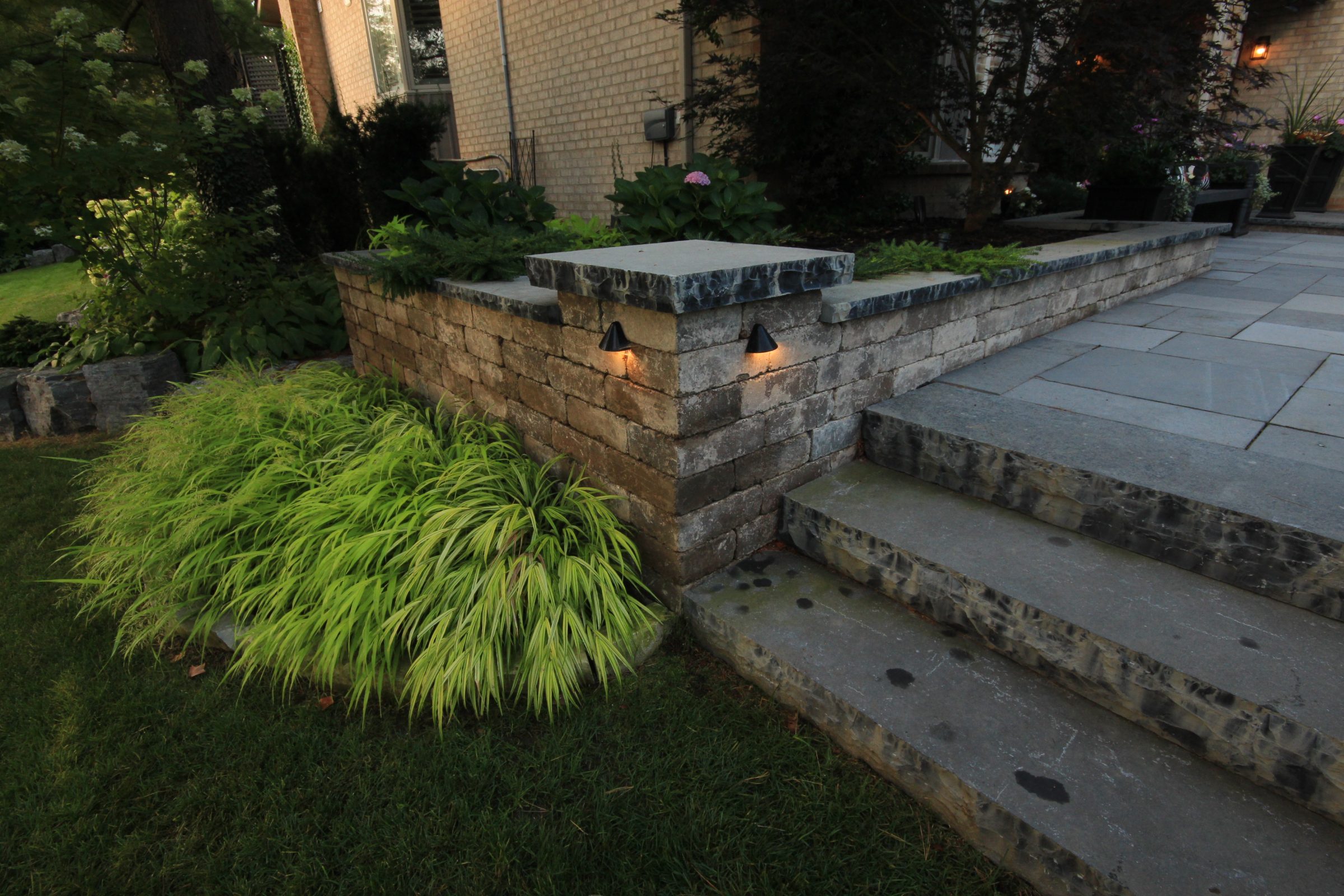 Stone patio with steps and garden plants.