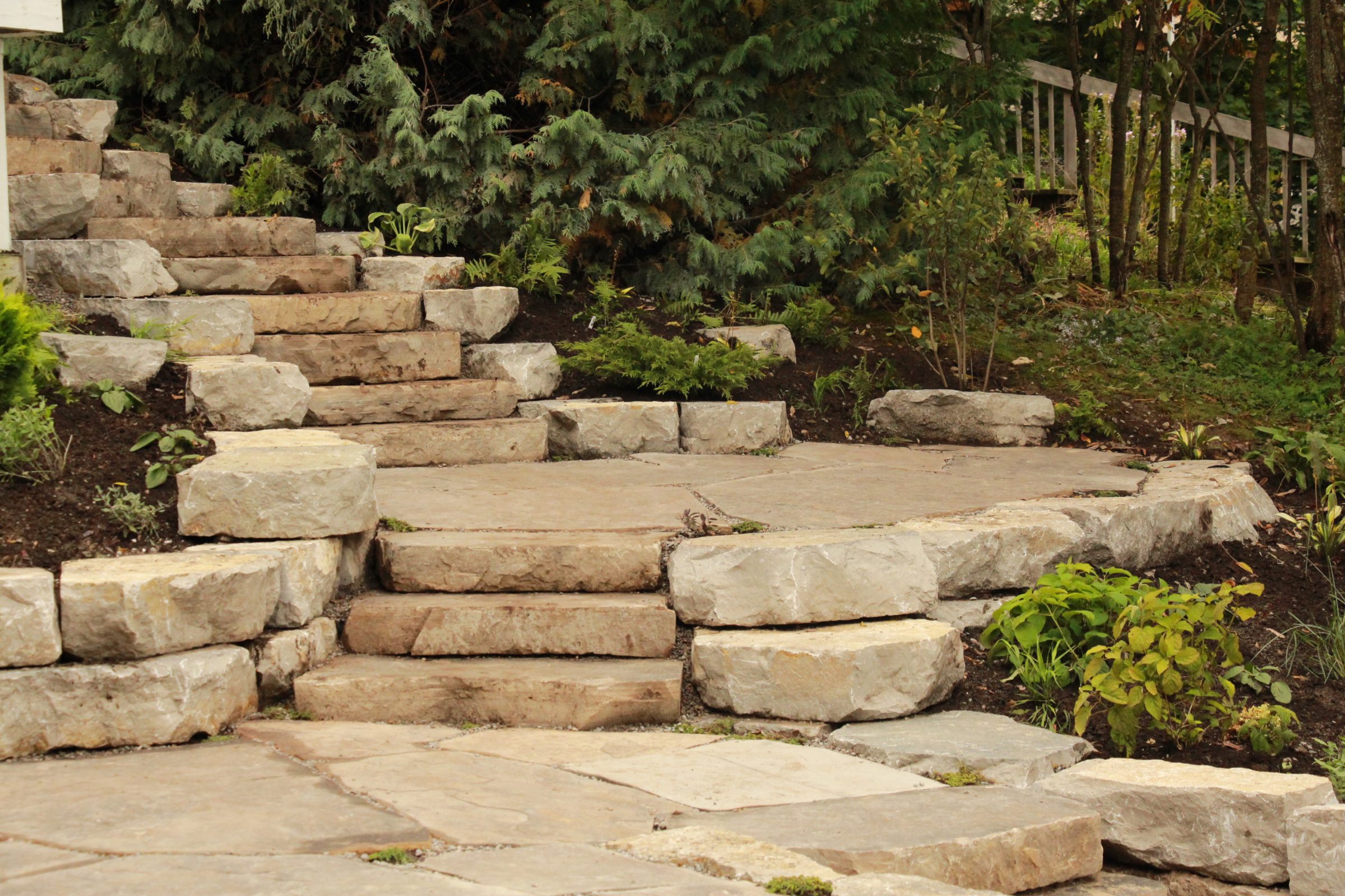 Stone steps surrounded by greenery in garden