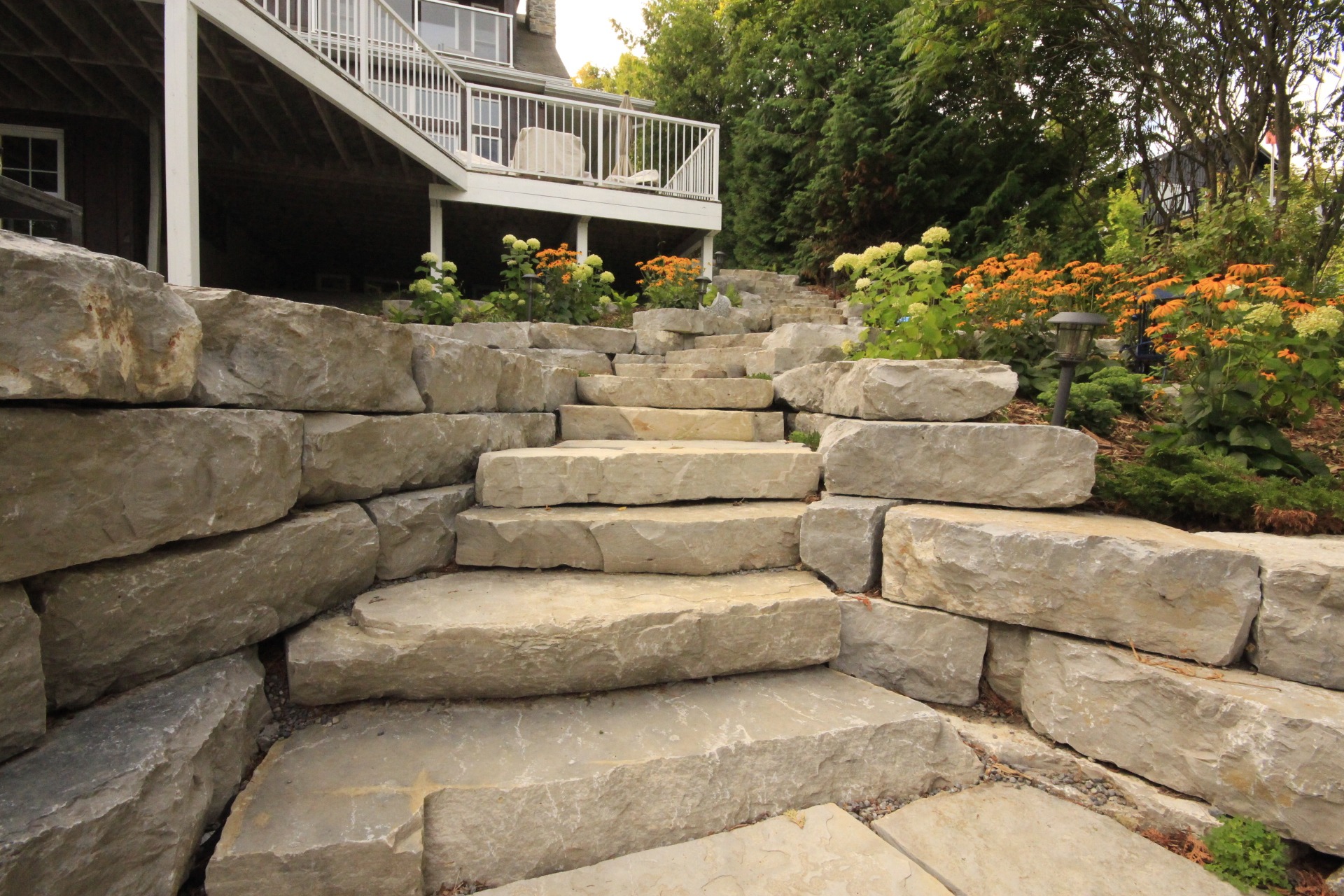Stone steps with garden flowers, house in background