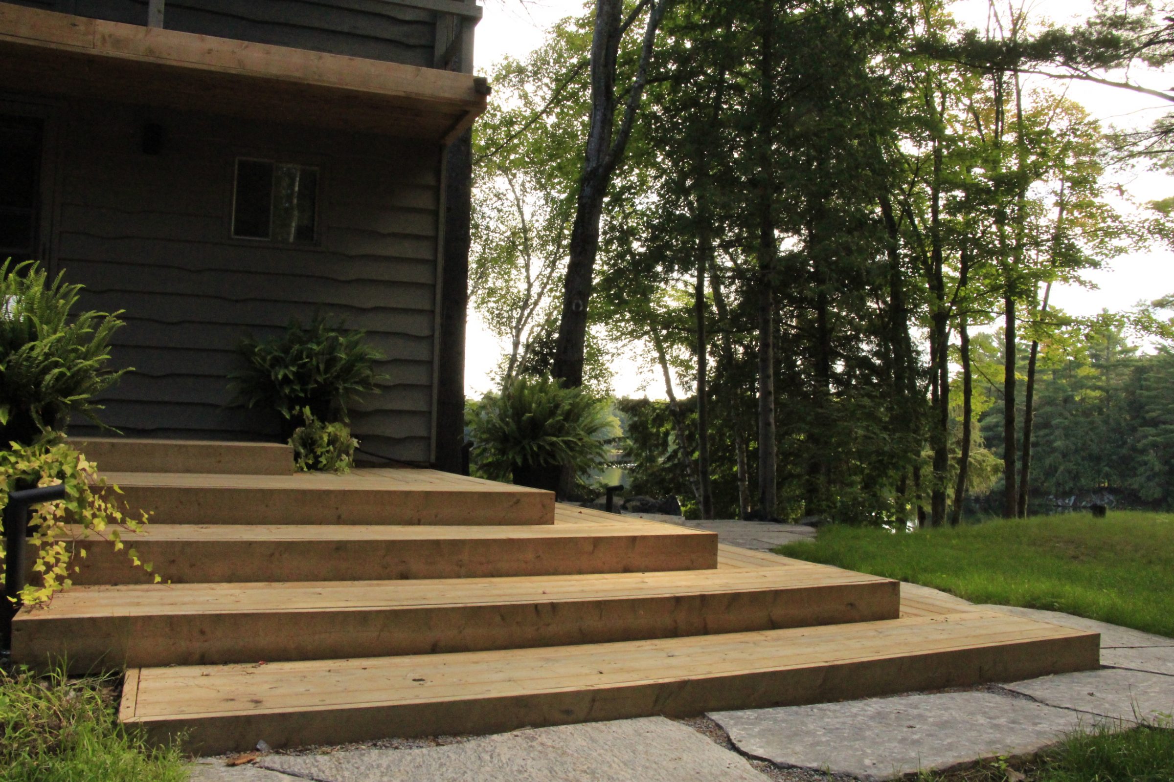 Wooden steps leading to house with plants around.