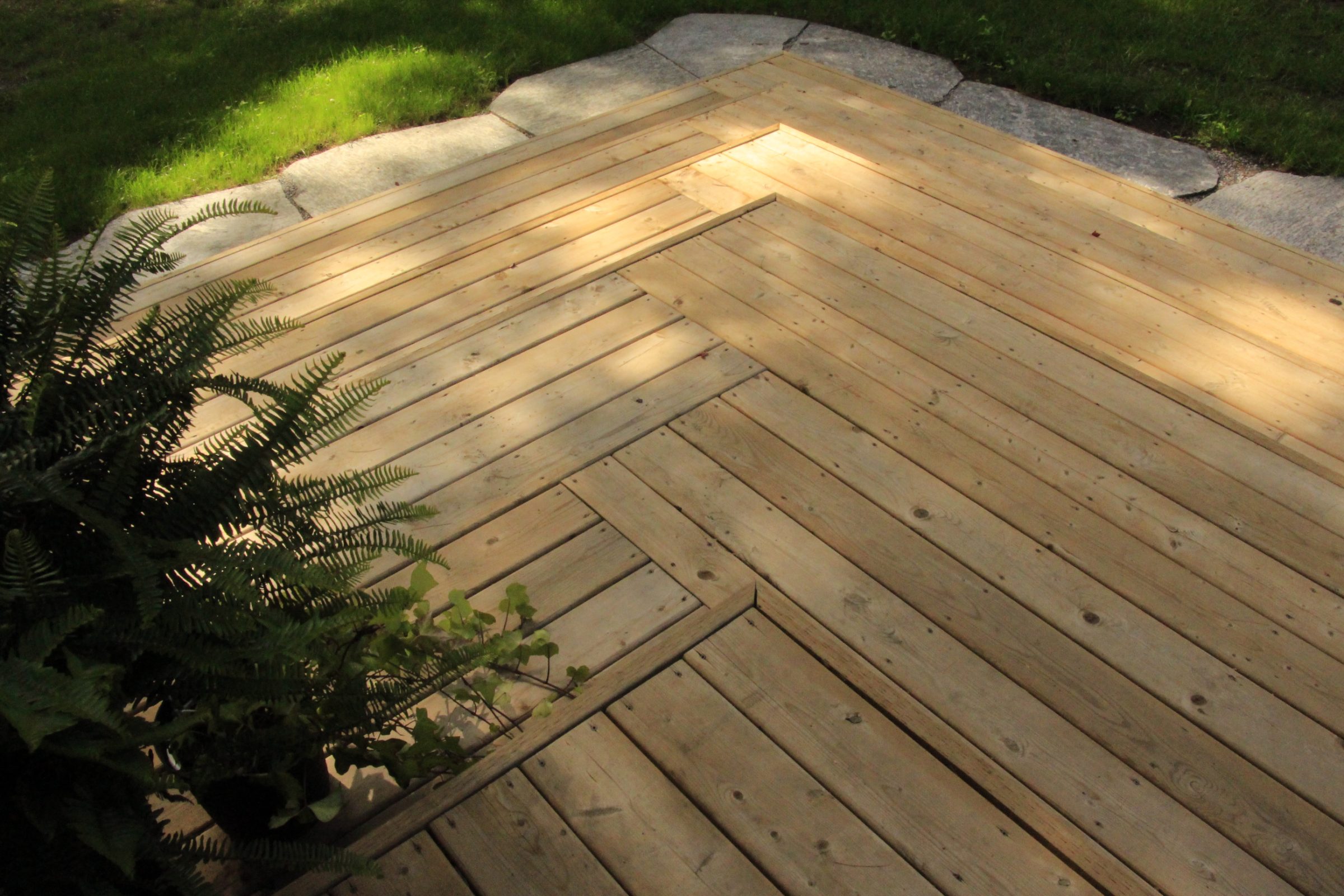 Wooden deck with green fern plant