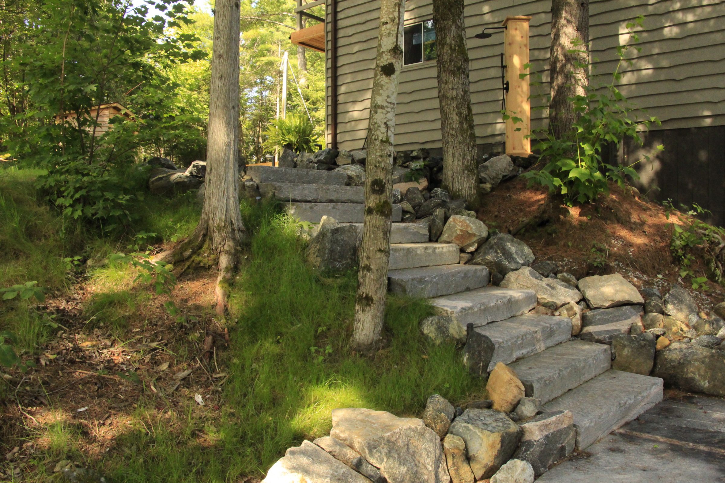 Stone steps leading to house amidst trees
