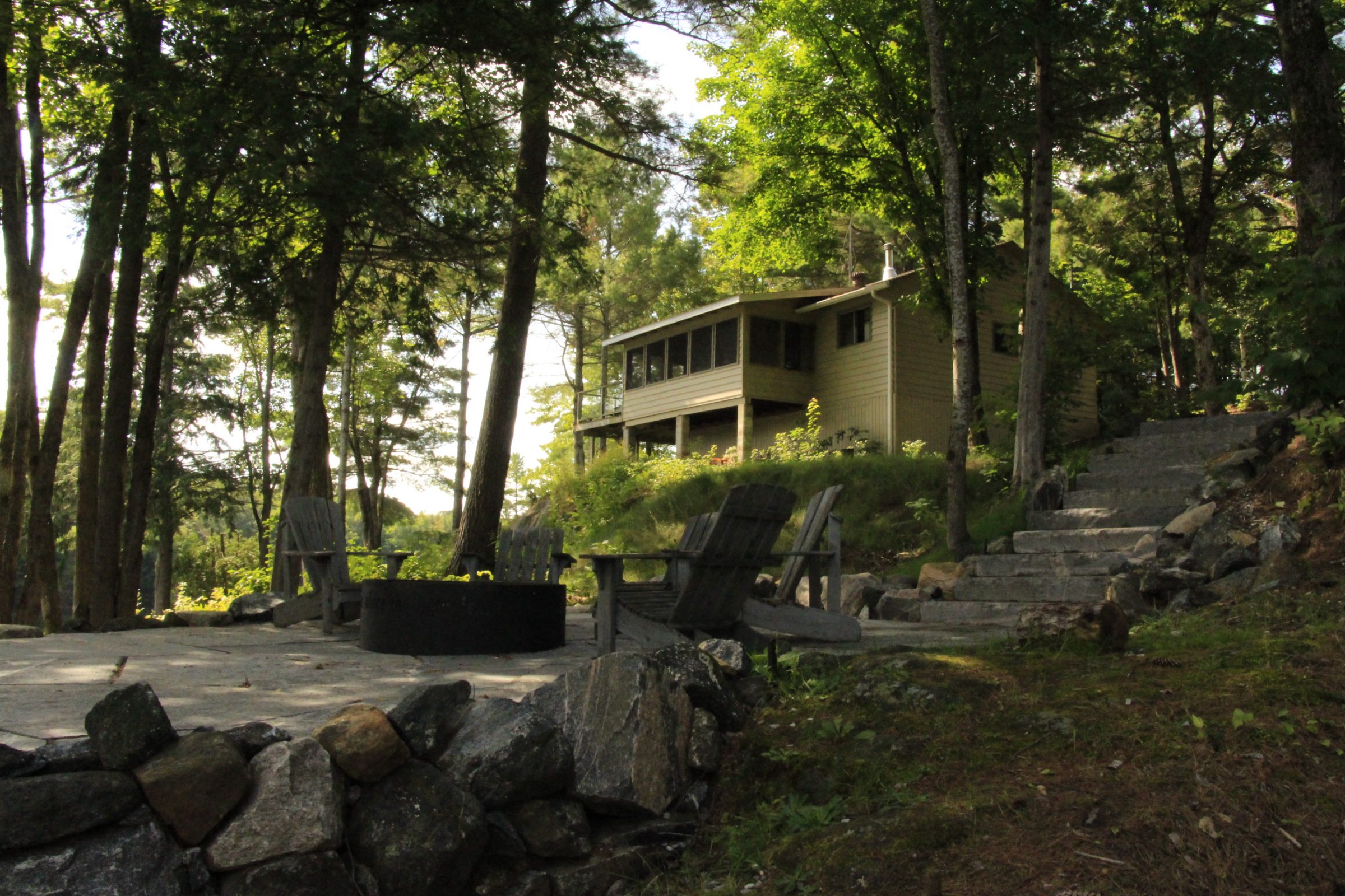 Cozy cabin surrounded by trees and stone path
