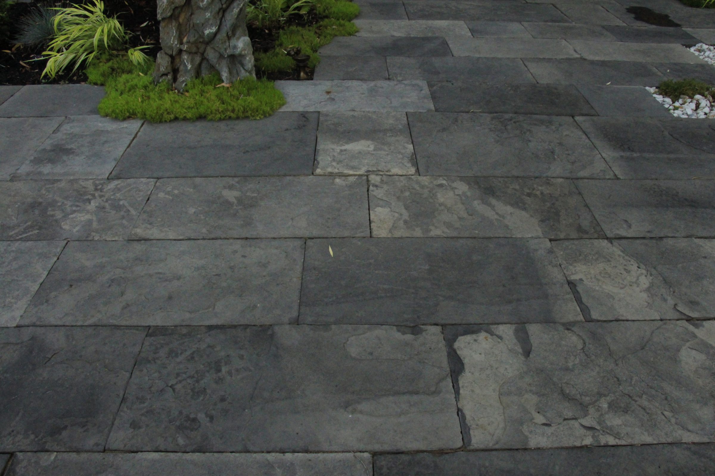 Gray stone pavement with plants and rocks.