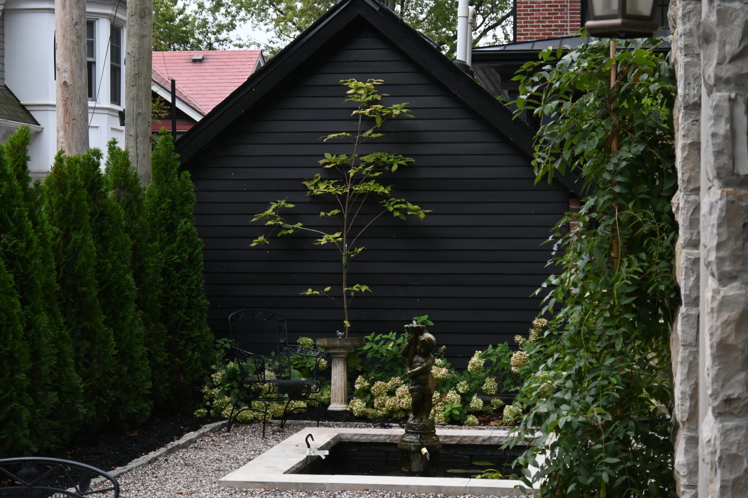 Backyard garden with pond and statue.