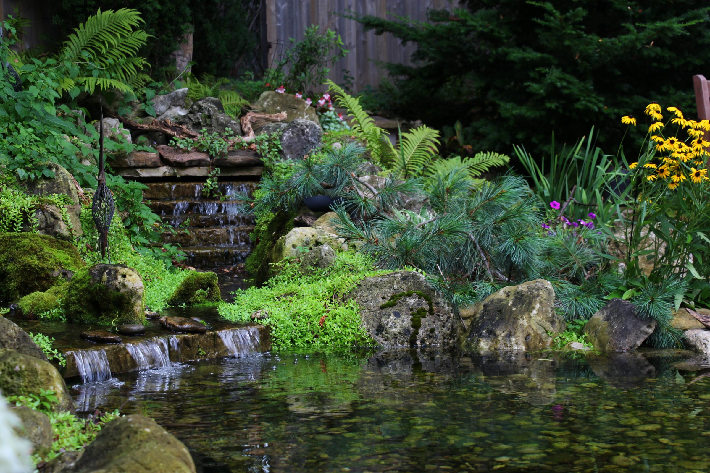 Tranquil garden pond with lush greenery and flowers.